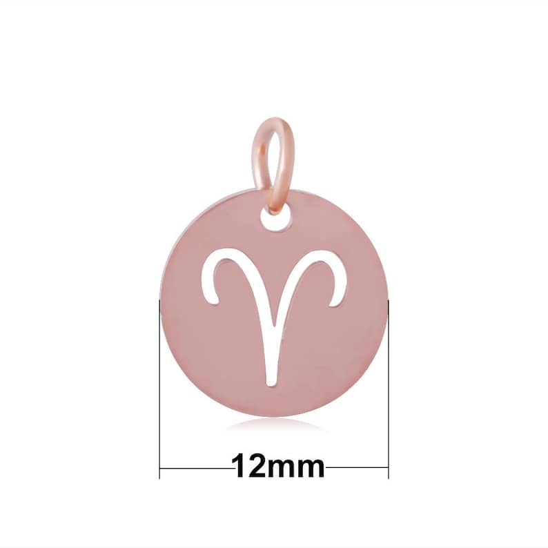 12pcs/set stainless steel 12 Zodiac charm Pendants circle round coin disc drop dangle birthday charm Zodiac bracelet necklace,12mm,rose gold