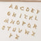 5pcs Real 18K Gold Plated Letter Charm,Gold Initial Charm,Vermeil Letter Pendant,Gold Initial Charms,Capital A-Z 10*12mm