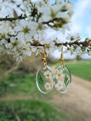 Real Pressed Flower Earrings, White Flowers, Gold, Blossom