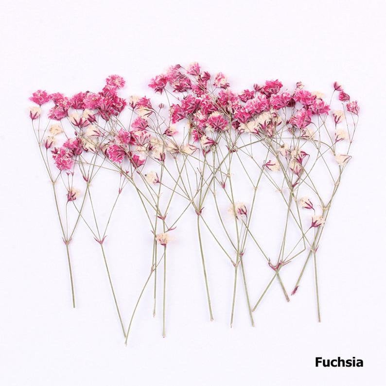 12pcs/pack Dried Pressed Flowers, Real Gypsophila flower, Handmade Resin Crafting Genuine Botanical Jewelry