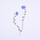 10pcs/Pack Natural Real Do not forget me Dried Flower