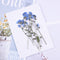 10pcs/Pack Natural Real Do not forget me Dried Flower