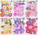 Mix 35 flowers Natural Dried Flowers, Real flower Jewelry Making Filler Handmade Material