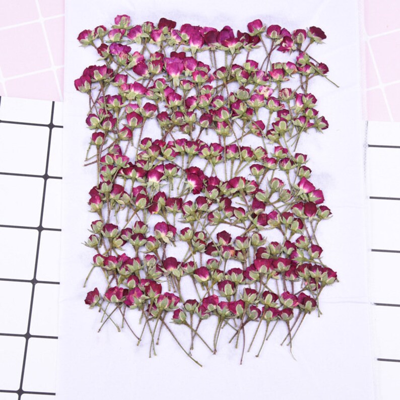 8pcs/pack Real rose flowers, Rose Flowers Dried Pressed Flowers