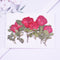 6pcs Dried flower rose, real dried flower pressed flower, embossed plant specimen