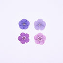 5pcs real dried flower pressed flower, embossed plant specimen