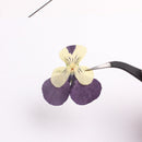 12pcs real Sweet pansy Cherry blossoms dried flower pressed flower, embossed plant specimen