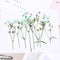 8pcs Gypsophila, dry flower pressed flower, dried flower