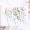 8pcs Gypsophila, dry flower pressed flower, dried flower