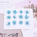 12pcs Snow bead flower, lace flower, dried flower, pressed flower