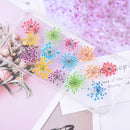 12pcs Snow bead flower, lace flower, dried flower, pressed flower