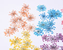 12pcs Snow bead flower, lace flower, dried flower, pressed flower