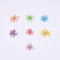 12pcs Snow bead flower, lace flower, dried flower, pressed flower