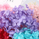 1g/box diy Real pressed flower, material flowers, dried flowers, dried hydrangea