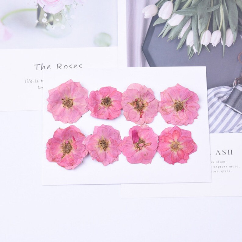 30 flower Rose Pressed flower diy material flowers, dried flowers, dried hydrangea