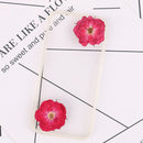 30 flower Rose Pressed flower diy material flowers, dried flowers, dried hydrangea