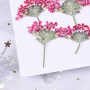 6pcs Cherry blossoms Pressed flower diy material flowers dried flowers