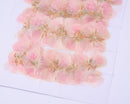 6pcs Pressed flower diy material flowers dried flowers