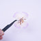 6pcs Pressed flower diy material flowers dried flowers