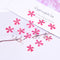 12pcs Cherry blossoms Pressed flower diy material flowers dried flowers