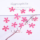 12pcs Cherry blossoms Pressed flower diy material flowers dried flowers