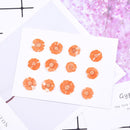 12pcs Cherry blossoms Pressed flower diy material flowers dried flowers