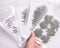 6pcs Really Natural Dried Leaves DIY Plant Specimens Pressed Herbarium Real Leaf Craft Variety Jewelry Making Filler Handmade Flower aterial