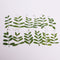 12pcs Natural Dried Leaves DIY Plant Specimens Pressed Herbarium Real Leaf Craft Variety Jewelry Making Filler Handmade Flower aterial