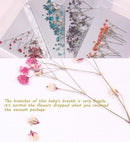 12pcs/pack Dried Pressed Flowers, Real Gypsophila flower, Handmade Resin Crafting Genuine Botanical Jewelry