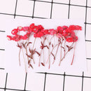 12pcs/pack Daisy Flowers Dried Pressed Flowers, Real flower Handmade Crafting Decor Genuine Botanical