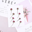 8pcs/pack Real rose flowers, Rose Flowers Dried Pressed Flowers