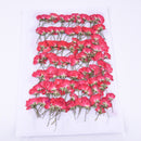 8pcs/pack Real rose flowers, Rose Flowers Dried Pressed Flowers