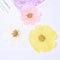 10pcs real Garden Cosmos Flowers Dried Pressed Bipinnatus Natural Large Flower