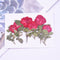 6pcs Dried flower rose, real dried flower pressed flower, embossed plant specimen