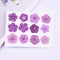 5pcs real dried flower pressed flower, embossed plant specimen