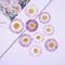 12pcs Daisy dried flower pressed flower,Real flower, embossed plant specimen