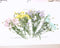 8pcs Gypsophila, dry flower pressed flower, dried flower