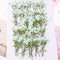 8pcs Gypsophila, dry flower pressed flower, dried flower