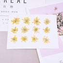 12pcs Snow bead flower, lace flower, dried flower, pressed flower