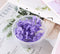 1g/box diy Real pressed flower, material flowers, dried flowers, dried hydrangea