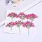 6pcs Cherry blossoms Pressed flower diy material flowers dried flowers