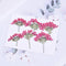 6pcs Cherry blossoms Pressed flower diy material flowers dried flowers