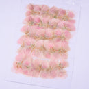 6pcs Pressed flower diy material flowers dried flowers