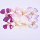 6pcs Pressed flower diy material flowers dried flowers