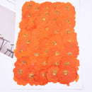 6pcs chrysanthemum Pressed flower diy material flowers dried flowers