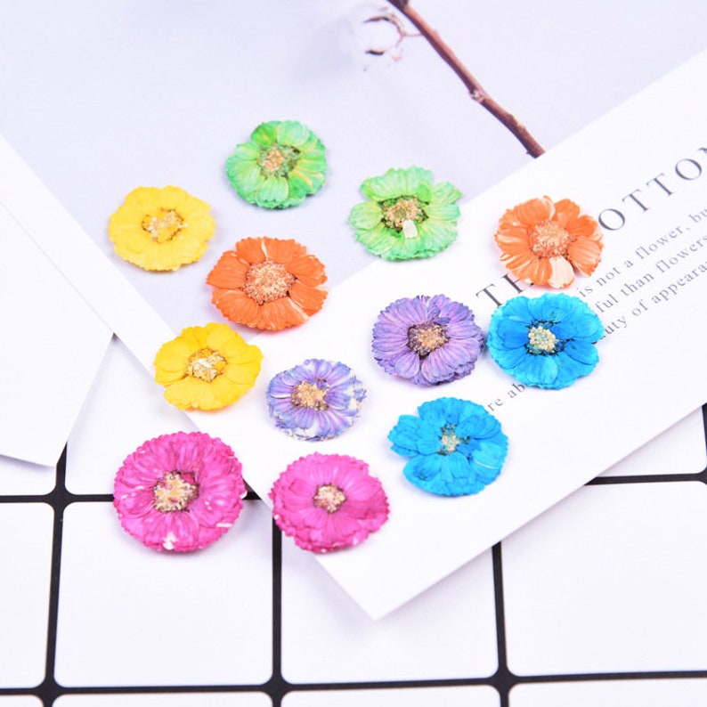 12pcs Cherry blossoms Pressed flower diy material flowers dried flowers