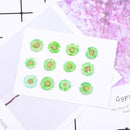 12pcs Cherry blossoms Pressed flower diy material flowers dried flowers