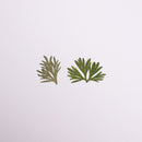 6pcs Really Natural Dried Leaves DIY Plant Specimens Pressed Herbarium Real Leaf Craft Variety Jewelry Making Filler Handmade Flower aterial