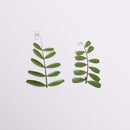 12pcs Natural Dried Leaves DIY Plant Specimens Pressed Herbarium Real Leaf Craft Variety Jewelry Making Filler Handmade Flower aterial