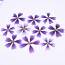 8pcs Pressed flower diy material flowers dried flowers